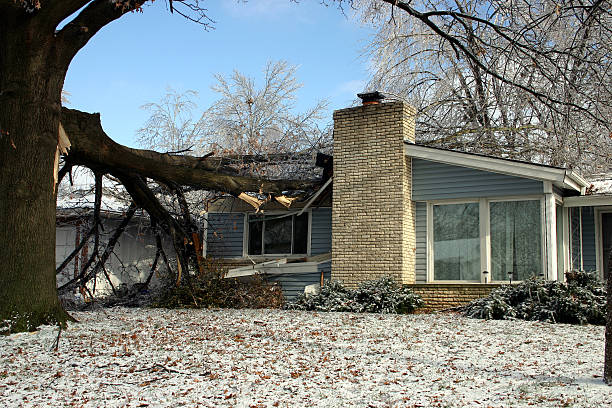 ACCIDENT! A large oak tree on a house after a terrible ice and snow storm! fallen tree photos stock pictures, royalty-free photos & images