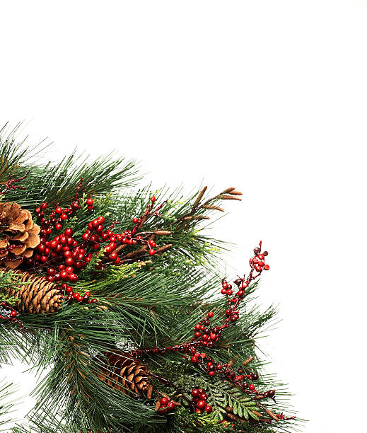 크리스마스 - camouflage clothing christmas tree berry 뉴스 사진 이��미지