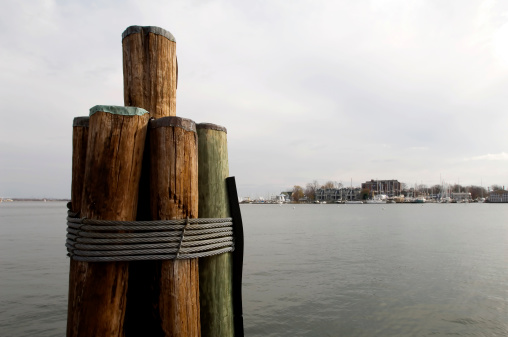 Pilings at the waterfront.
