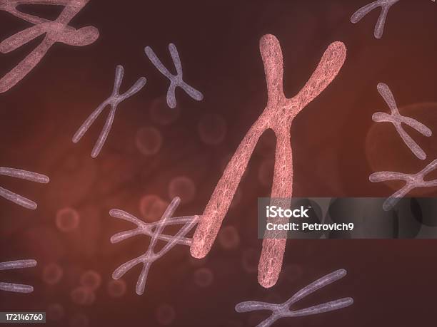 Cromosoma Foto de stock y más banco de imágenes de ADN - ADN, Abstracto, Asistencia sanitaria y medicina