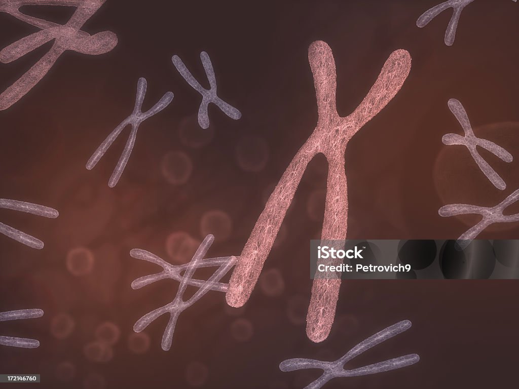염색체 - 로열티 프리 0명 스톡 사진