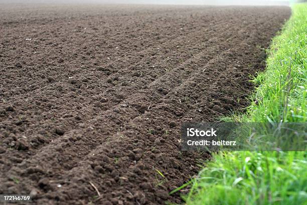 Dedicati Campo - Fotografie stock e altre immagini di Agricoltura - Agricoltura, Ambientazione esterna, Banchina erbosa