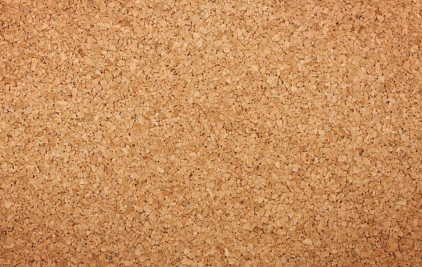 Corkboard 스톡 사진