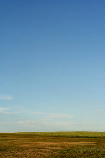 praterie - saskatoon saskatchewan prairie field foto e immagini stock