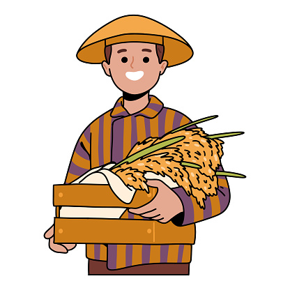 Javanese farmer man carrying rice harvest