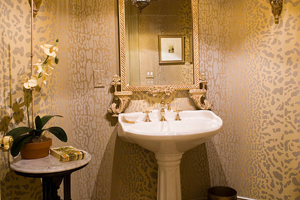 Luxurious Powder Room Luxurious Powder Room (Picture in Mirror has been replaced with one of my photos.) powder room stock pictures, royalty-free photos & images