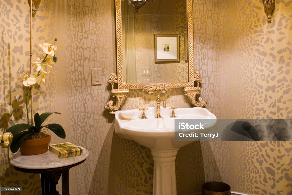 Luxuosa Casa de Banho - Royalty-free Quarto de Banho Feminino Foto de stock