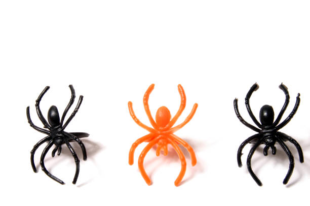 Plastic Spider Rings Halloween spider rings. creepy crawlers stock pictures, royalty-free photos & images