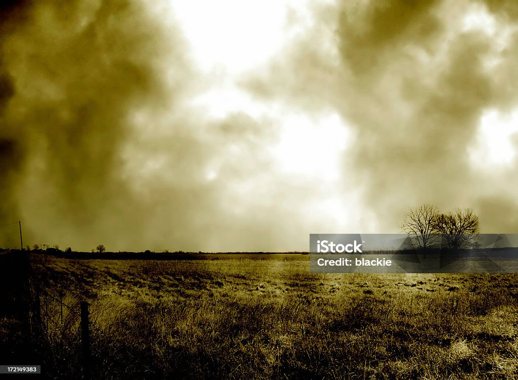 Seul II-Duotone Rural Field et de l'arbre - Photo de Agriculture libre de droits