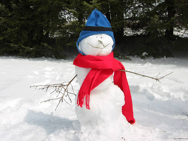 istock Cute Snowman in the snow 172149693