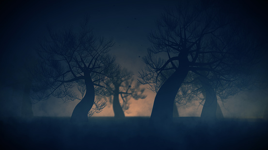 Dark trees in mystic fog forest, scary halloween night.