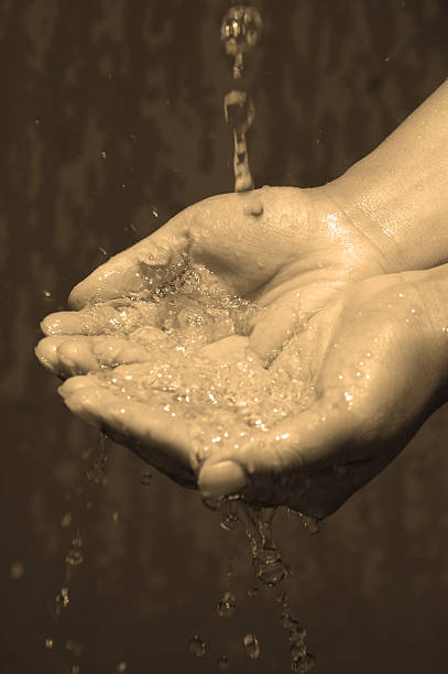 De Concha Mãos segurando água limpa - foto de acervo