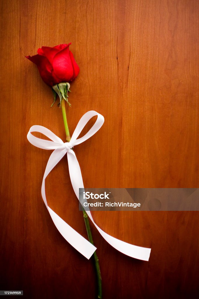 Rosa di nozze - Foto stock royalty-free di Amore