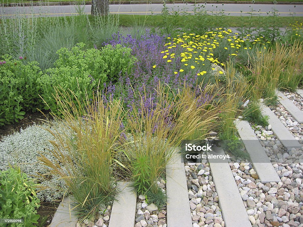 dry Garten - Lizenzfrei Ausgedörrt Stock-Foto