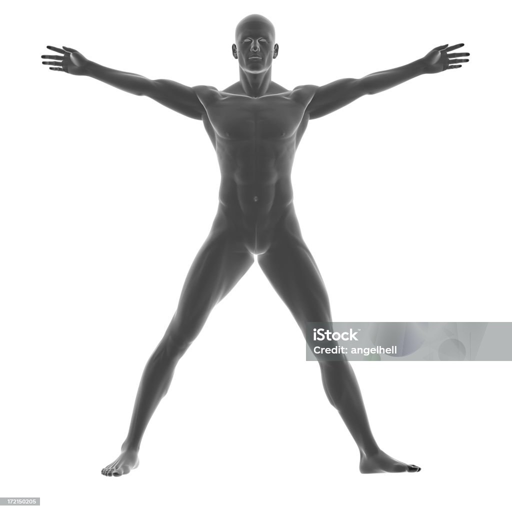 Человеческого тела мужчины в рамках исследования - Стоковые фото Анатомия роялти-фри