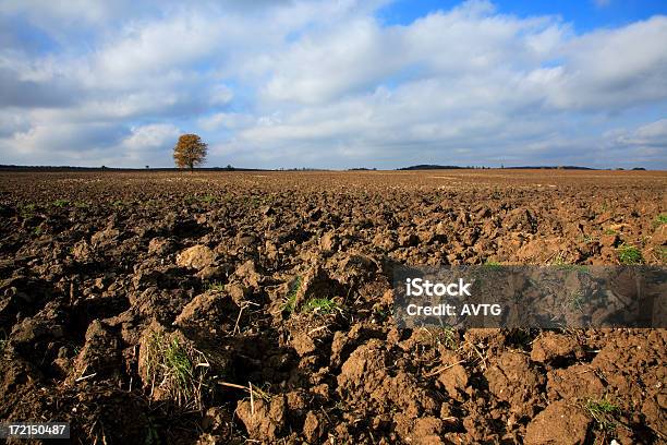 Foto de O Solo e mais fotos de stock de Agricultura - Agricultura, Ajardinado, Atividade agrícola