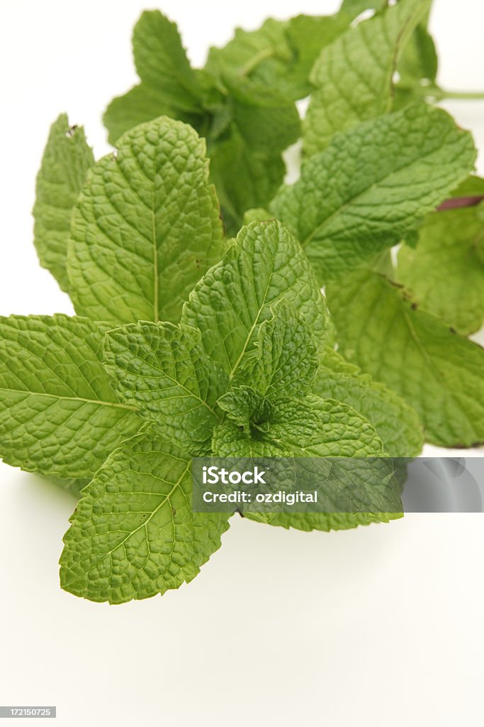 Mint - Foto de stock de Agricultura libre de derechos