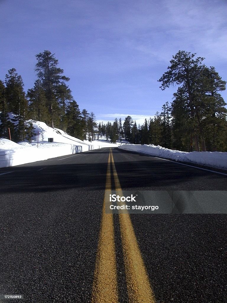 Route en hiver - Photo de Arbre libre de droits