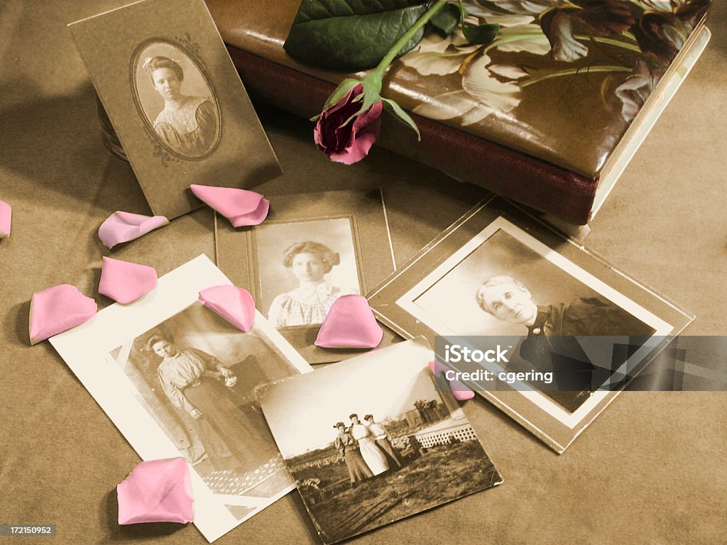 family history 2 "Photographs circa 1900. Photos are in sepia, with a grainy, aged appearance. Photo album, rose, and rose petals are overlaid with muted color." Family Tree Stock Photo