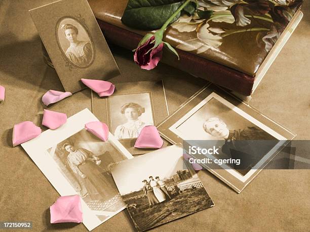 Family History 2 Stock Photo - Download Image Now - Family Tree, 1900, Adult