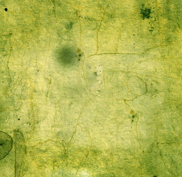 istock Green Antique Paper Background Image 172151242