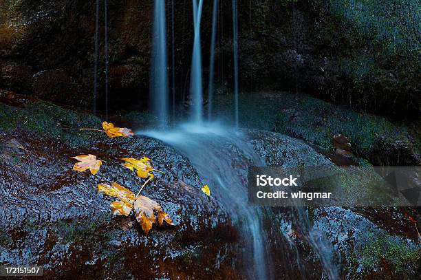 Autunno Cascata - Fotografie stock e altre immagini di Acqua - Acqua, Ambientazione tranquilla, Area selvatica