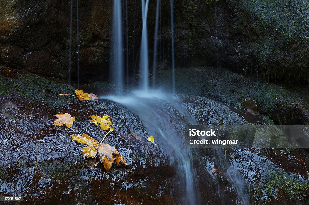 Outono de queda de água - Royalty-free Acontecimentos da Vida Foto de stock