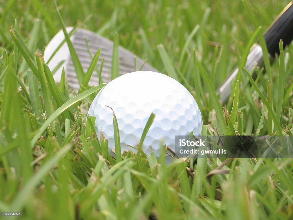 불용품 골프는요 거짓말 풍경 - 로열티 프리 거친 스톡 사진