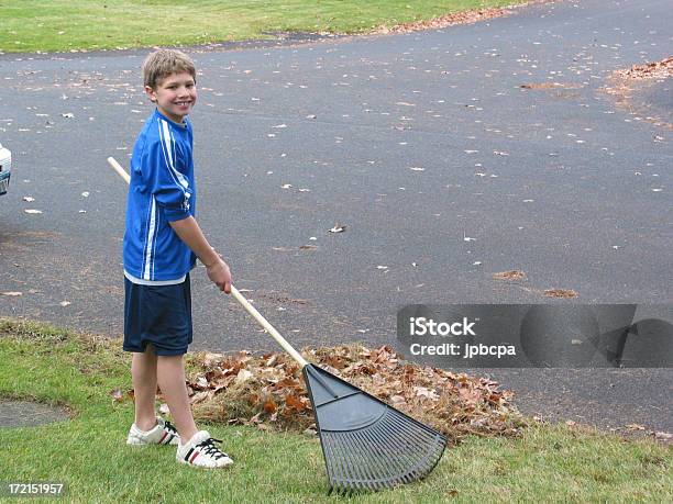 Menino Raking - Fotografias de stock e mais imagens de Ancinho - Equipamento de Jardinagem - Ancinho - Equipamento de Jardinagem, Folha, Rapazes