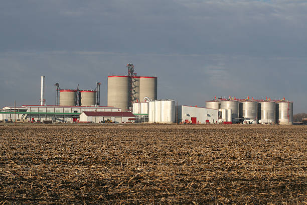 ethanol plant glänzenden und neue - gasohol stock-fotos und bilder