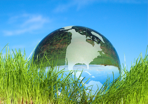optical effect of fields in glass globe on grass