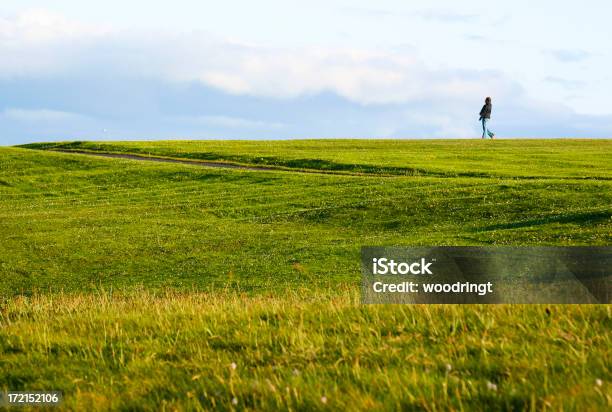 Liberdade - Fotografias de stock e mais imagens de Aberto - Aberto, Campo agrícola, Contemplação