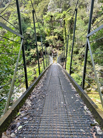 Wooden boardwalk bridge taken in lush sub-tropical forest background. Taken in the Nelson/ Tasman District of the Top of the South Island of New Zealand.