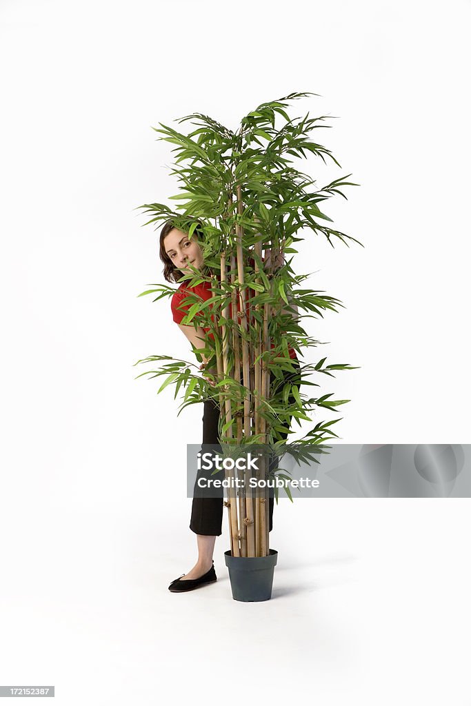 Joven mujer esconde detrás de una planta de interior - Foto de stock de Bambú - Familia de la Hierba libre de derechos