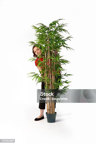 Foto de Jovem Mulher Que Sescondem Atrás De Uma Planta De Interior e mais fotos de stock de Bambu