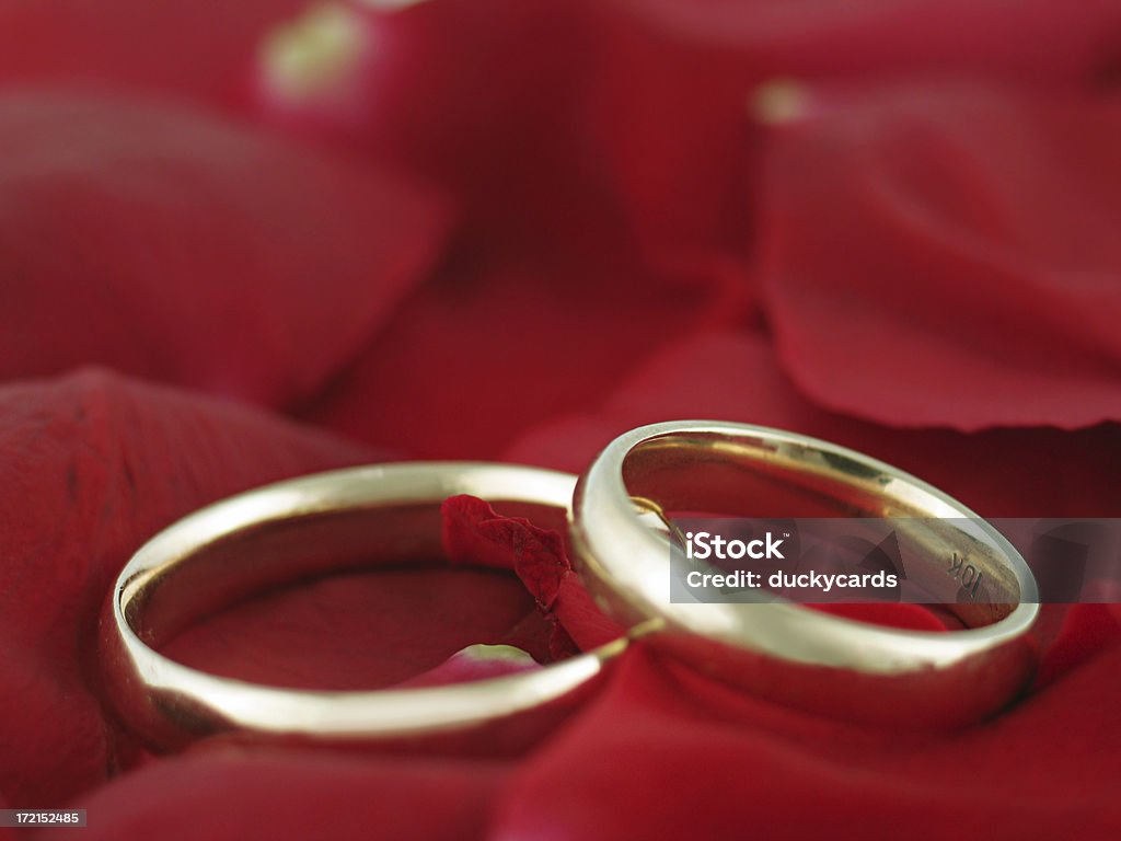Bandas de casamento com Pétalas de rosa - Royalty-free Acontecimentos da Vida Foto de stock