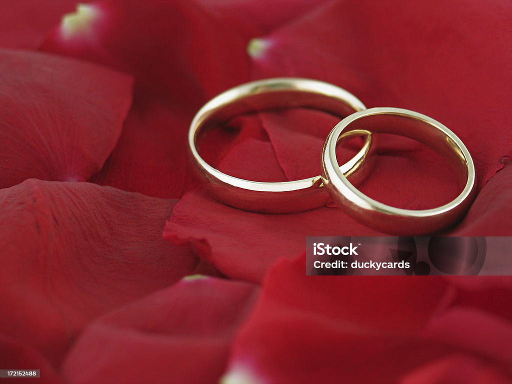 Свадебные полосками на Лепесток розы - Стоковые фото Блестящий роялти-фри