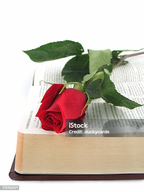 Biblia Z Czerwona Róża Kjv - zdjęcia stockowe i więcej obrazów Aranżacja - Aranżacja, Białe tło, Biblia
