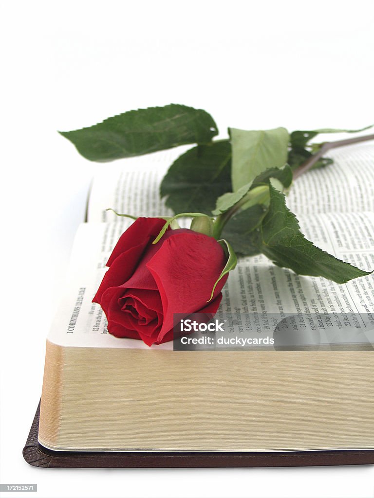 Библия с Красная роза (KJV - Стоковые фото Белый фон роялти-фри