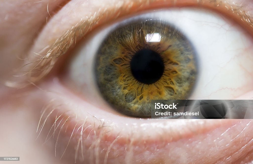 Macro dell'occhio umano - Foto stock royalty-free di Iride - Occhio