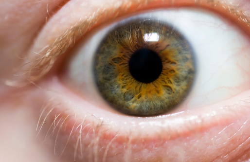 A macro shot of a hazel eye