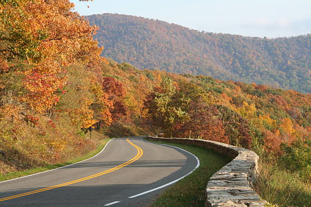 Winding rural road with trees in autumn stock photo