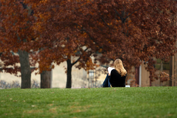 A landscape in fall focusing on a young girl reading stock photo