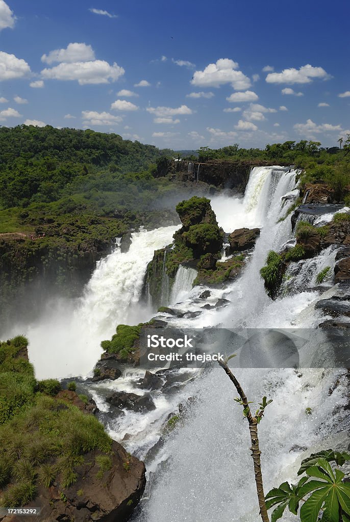 Cataratas del Iguazú - Foto de stock de Agua libre de derechos