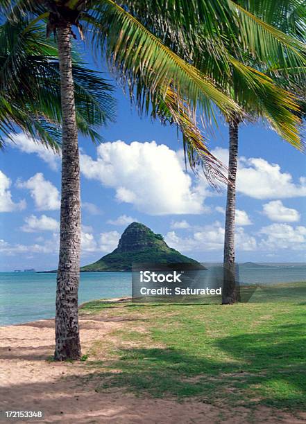 Tropische Insel Umgeben Von Palmen Stockfoto und mehr Bilder von Baum - Baum, Bewegung, Blattfiedern