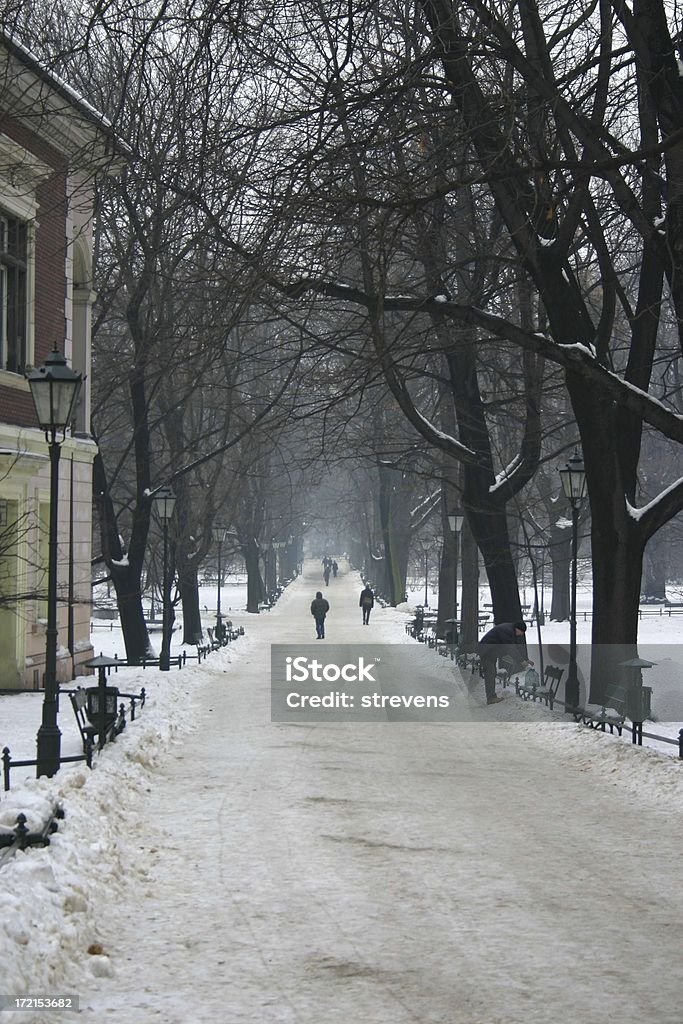 winter path with snow, trees, people a snow covered path in Krakow, Poland. Avenue Stock Photo
