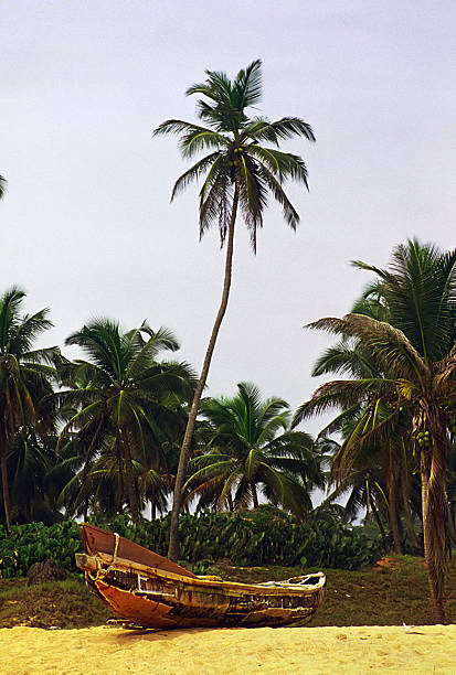 Palm trees on the tropical Le Morne beach, Mauritius. Tropical vacation background concept on Le Morne beach, Mauritius. Paradise beach on Mauritius island, palm trees, white sand, azure water.