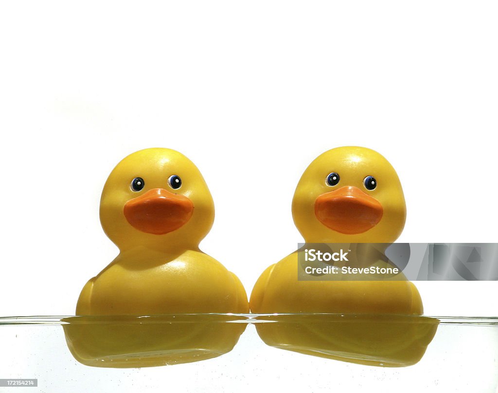 Patos de borracha - Foto de stock de Amarelo royalty-free