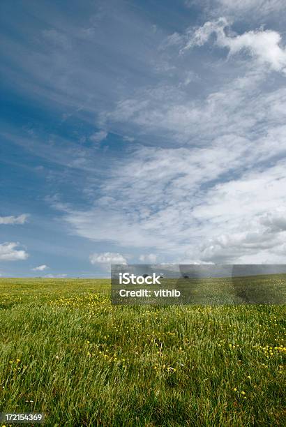 Los Campos Foto de stock y más banco de imágenes de Azul - Azul, Campo - Tierra cultivada, Cielo