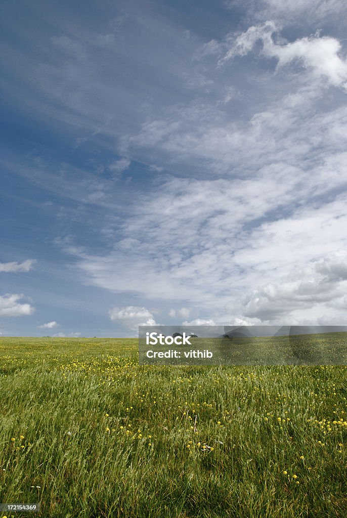 Os campos - Foto de stock de Azul royalty-free